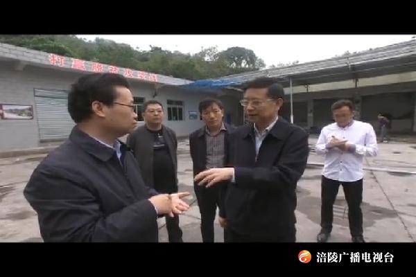 周少政调研涪陵区国家现代农业产业园