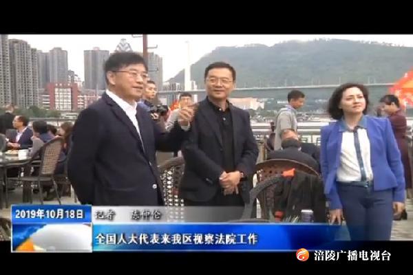 全国人大代表来我区视察法院工作