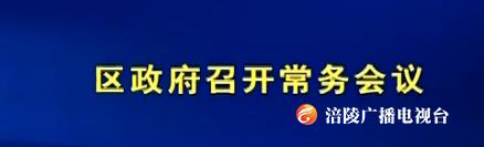 区政府召开常务会议