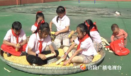 乡愁是什么？南沱镇中心小学校的学生们这样说……