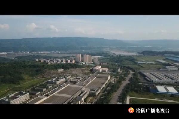 我区正式加入创建国家森林城市行列