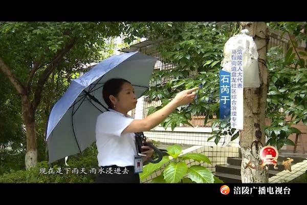 涪陵故事：万人小区安全隐患突出 人大代表提出好建议