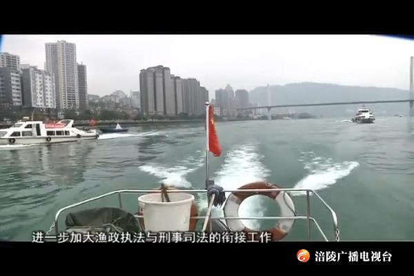 我区境内长江乌江水域昨起全面禁渔