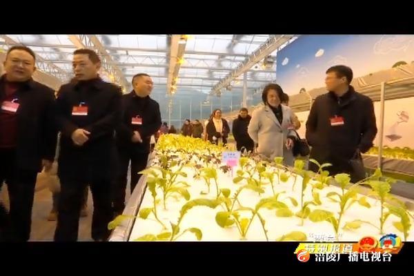 【“两会”特别报道】区人大代表集中视察我区部分重点项目