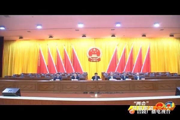 【“两会”特别报道】全区“两会”中共党员大会召开