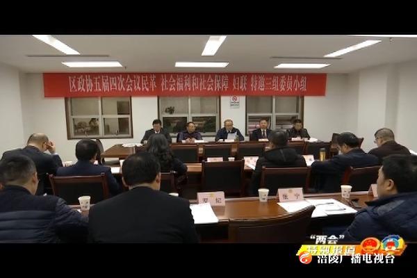 【“两会”特别报道】政协委员讨论区政协常委会工作报告 提案工作报告和学习领会区委书记周少政的讲话
