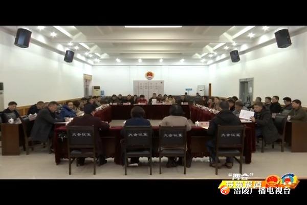 【“两会”特别报道】区五届人大四次会议举行代表团会议