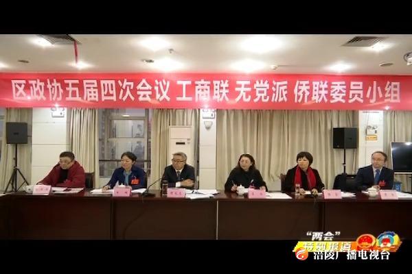【“两会”特别报道】种及灵参加区政协五届四次会议分组讨论