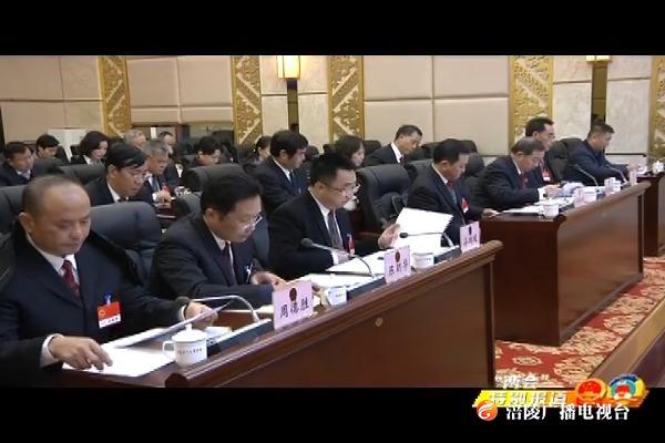 【“两会”特别报道】区五届人大四次会议举行主席团第二次会议