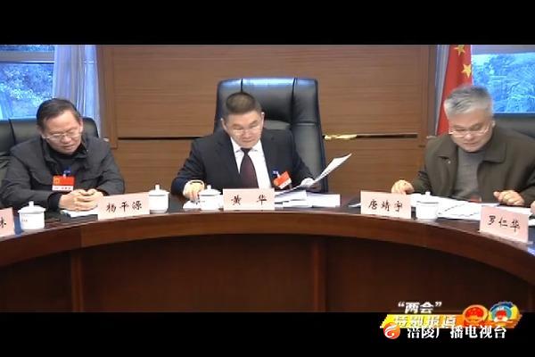【“两会”特别报道】区五届人大四次会议召开计划预算审查会议