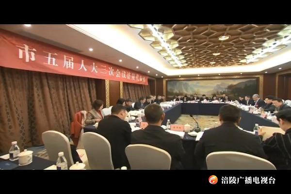 市人大涪陵代表团审议市人大常委会工作报告