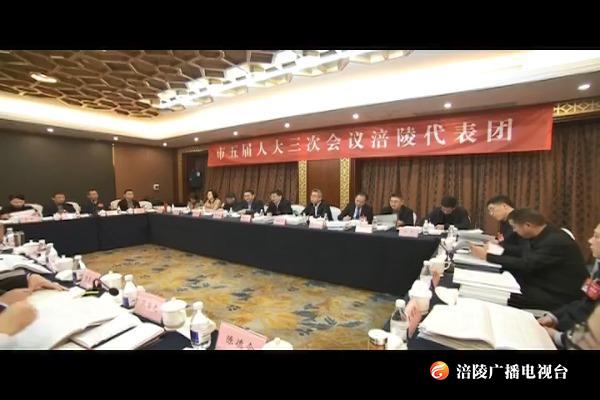 市人大涪陵代表团审查计划报告和预算报告