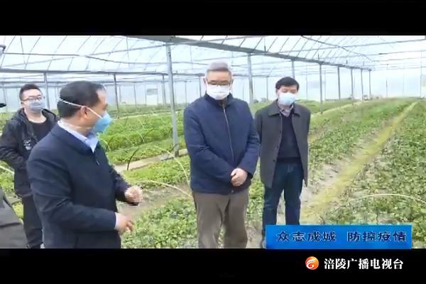 【众志成城 防控疫情】种及灵检查指导乡镇街道疫情防控工作