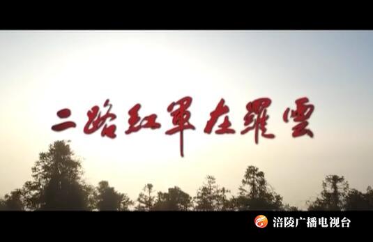 《二路红军在罗云》200401