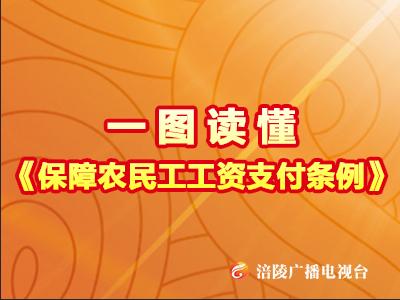 一图读懂《保障农民工工资支付条例》