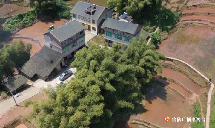 【决胜全面小康 决战脱贫攻坚】江东街道：新型农业主体助力脱贫攻坚