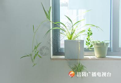 《江城悦读会》| 真正的朋友