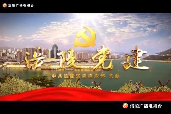 【涪陵党建】200817