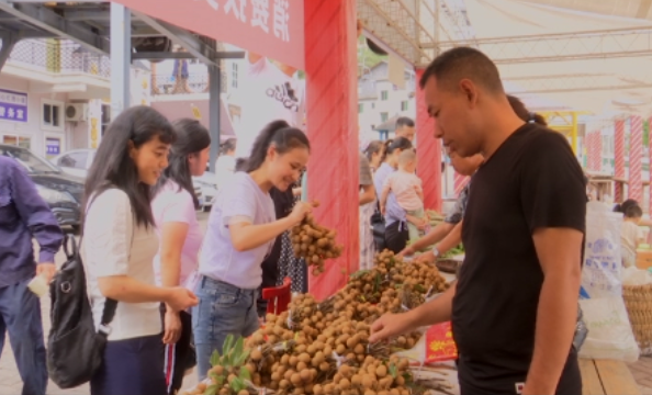 美心红酒小镇启动消费扶贫月活动
