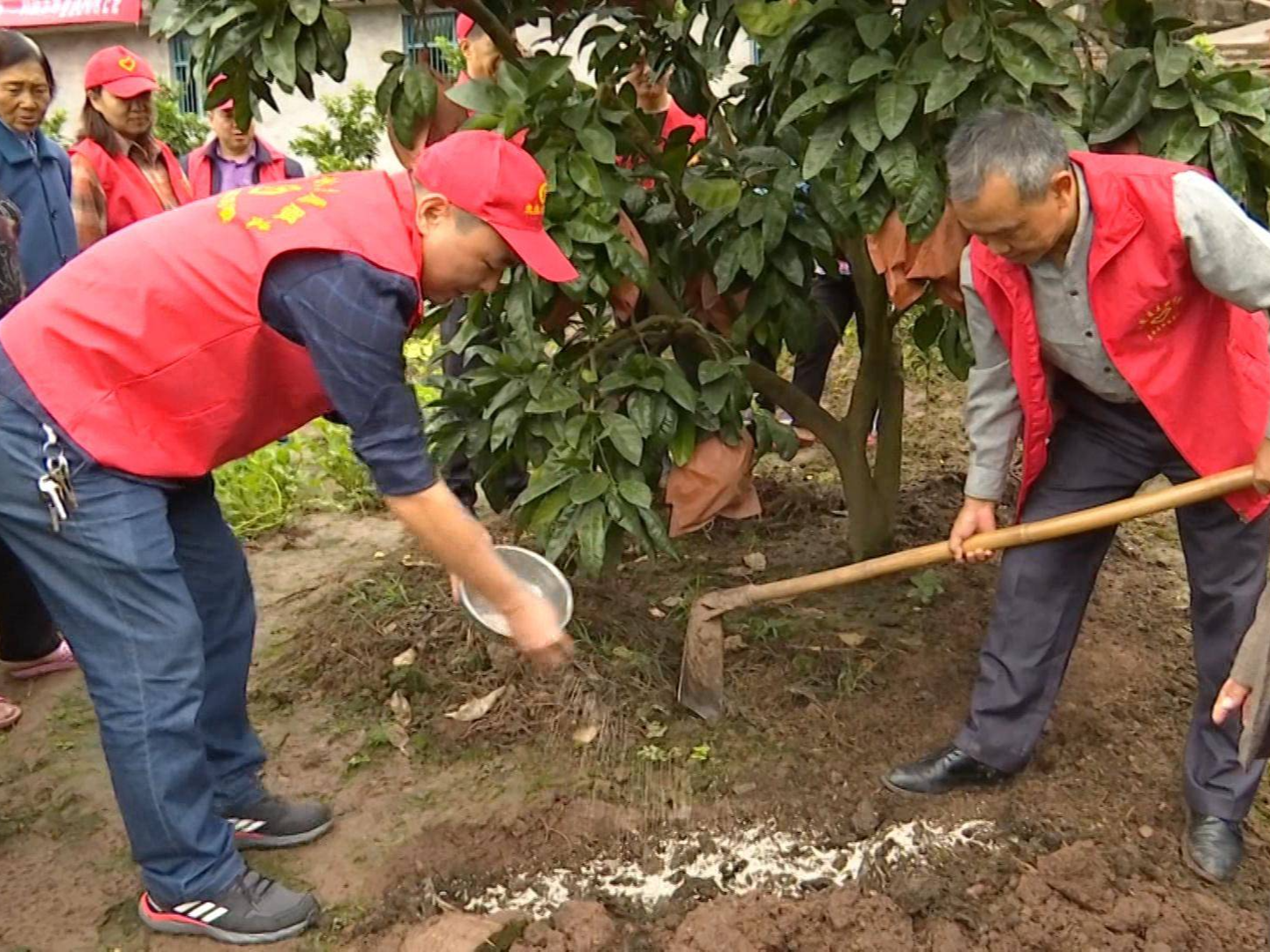 涪陵：科技送下乡 助果农发展产业