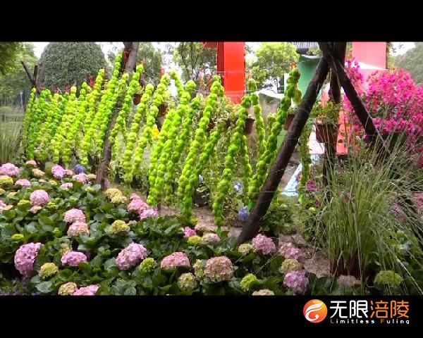 ​第三届城市花博会开幕  涪陵区3000盆鲜花参展
