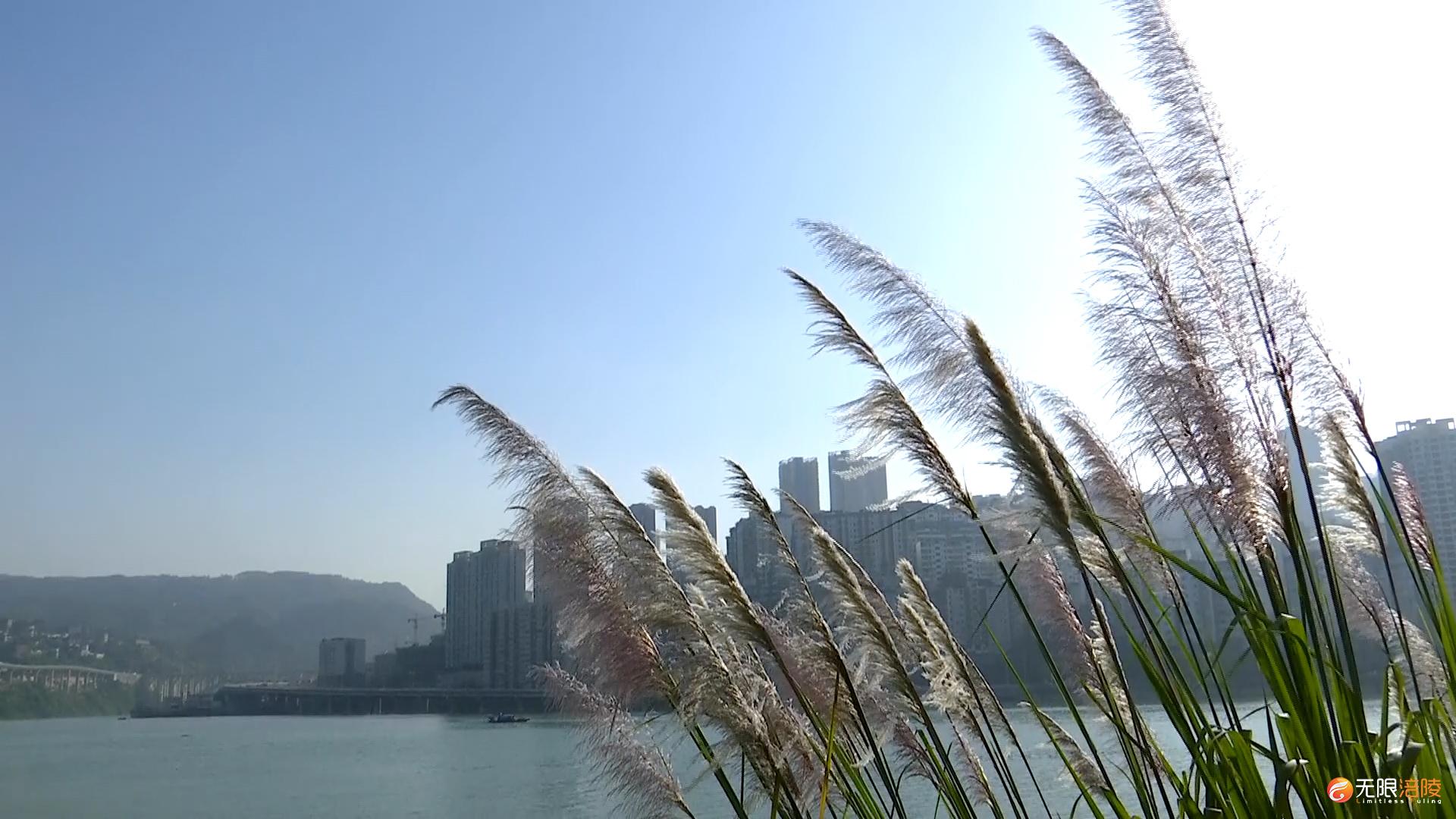 涪陵：一半江水一半城  平湖美景醉游人