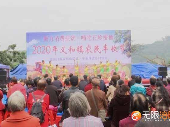 “柚”见面啦！义和镇60万斤蜜柚等你来摘