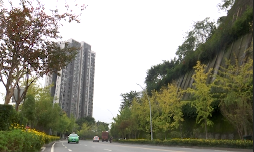 涪陵：从“被遗忘的角落”到“立体公园” ，城市美化小细节见大写意