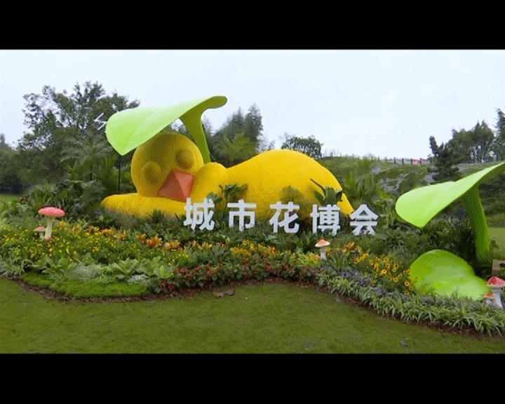 涪陵展区获市花博会室外布展一等奖