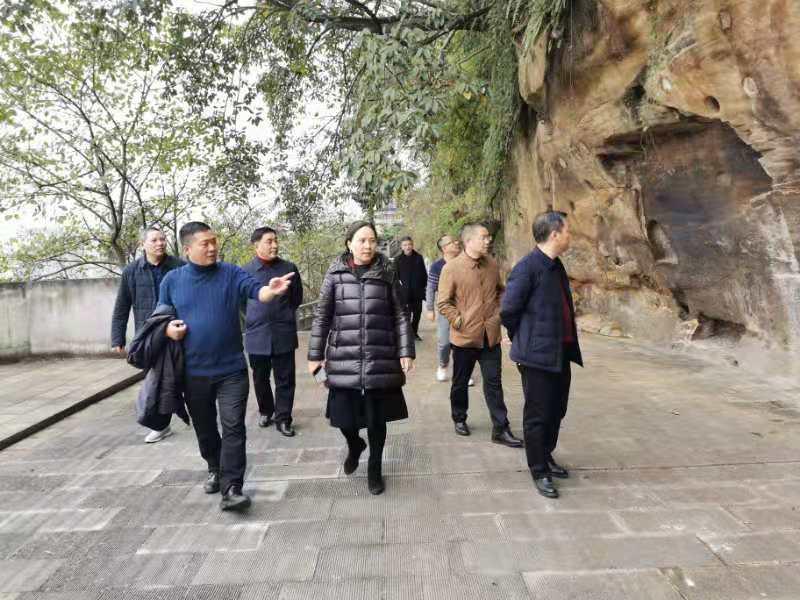 区领导视察点易园景区建设情况