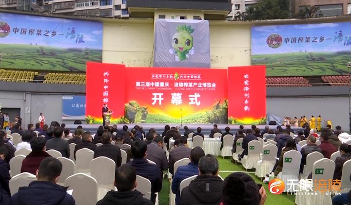 第三届中国重庆•涪陵榨菜产业博览会开幕