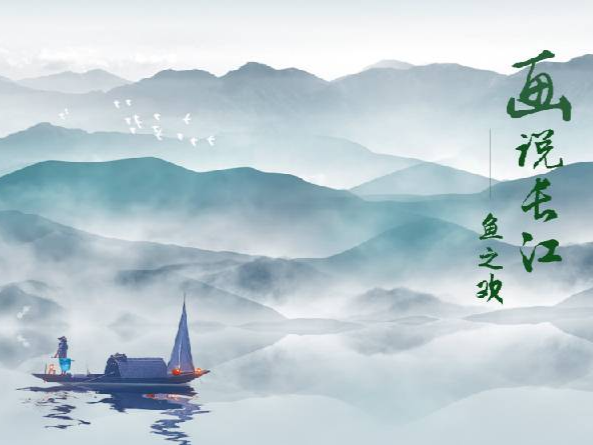 画说长江丨那些无家可归的江豚，现在咋样了？