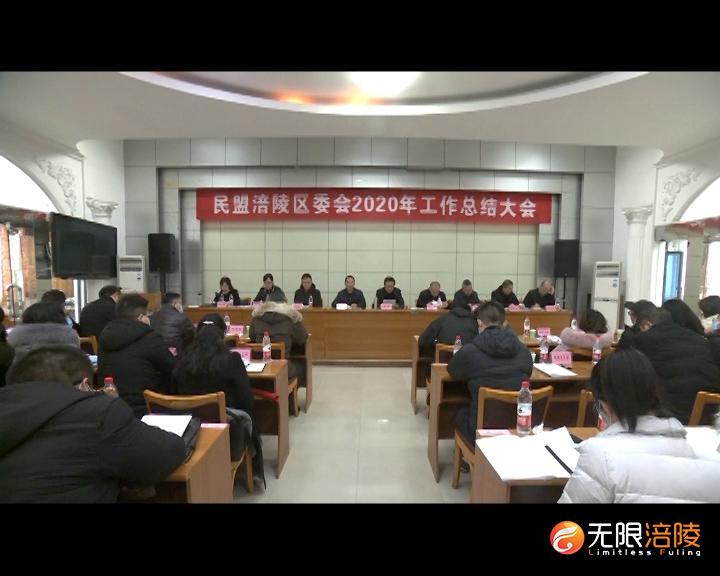 民盟涪陵区委：推进自身建设 不断提升履职能力
