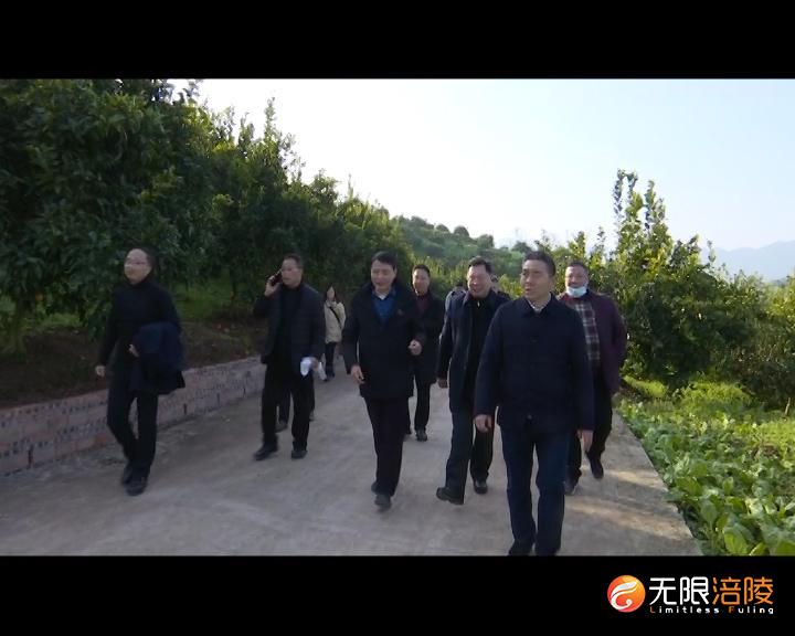 ​李景耀到珍溪镇开展巡河工作
