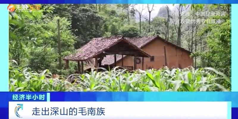【脱贫攻坚优秀作品展播】走出深山的毛南族