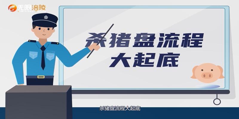 【防范杀猪盘】杀猪盘流程大起底
