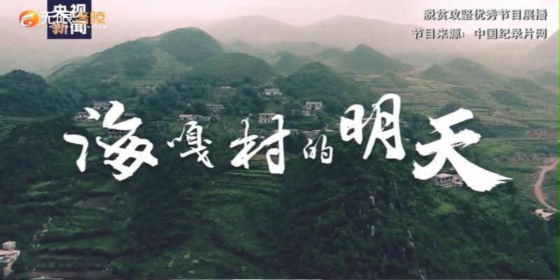 【脱贫攻坚优秀作品展播】向总书记报告│海嘎村的明天