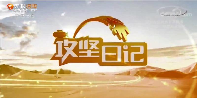 【脱贫攻坚优秀作品展播】攻坚日记