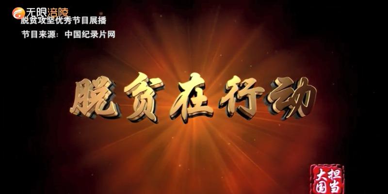 【脱贫攻坚优秀作品展播】脱贫在行动
