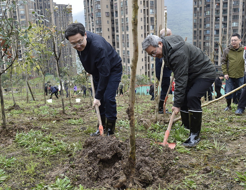 王志杰徐志红参加春季义务植树活动  筑千里林带  护两岸青山  切实筑牢长江上游重要生态屏障