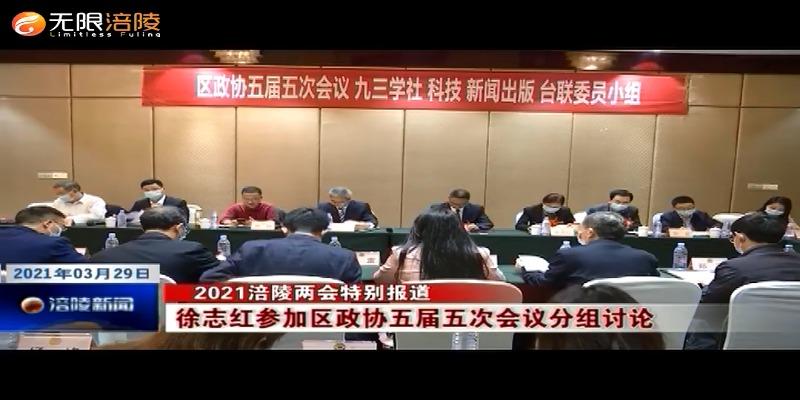 【2021涪陵两会特别报道】徐志红参加区政协五届五次会议分组讨论