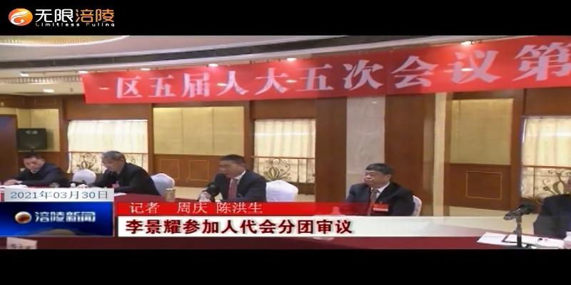【2021涪陵两会特别报道】李景耀参加人代会分团审议