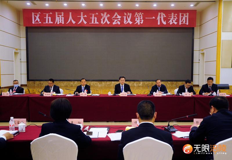 王志杰参加区五届人大五次会议第一代表团审议