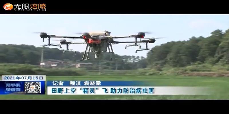 ​田野上空“精灵”飞 助力防治病虫害