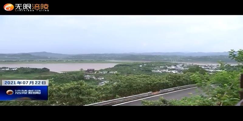 我区召开乡村振兴工作推进现场会