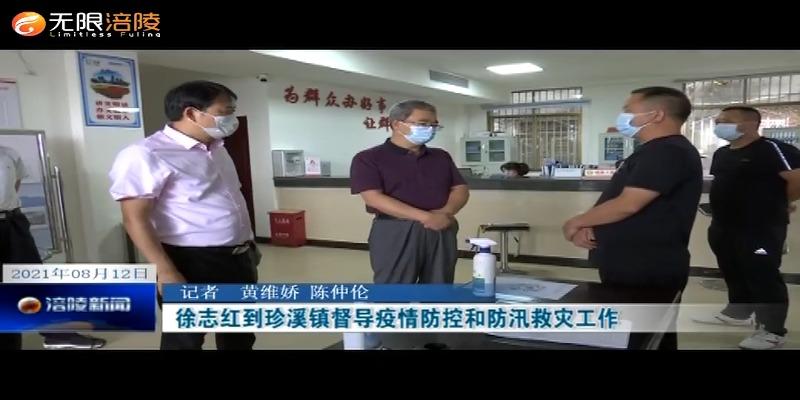 ​徐志红到珍溪镇督导疫情防控和防汛救灾工作