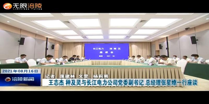 ​王志杰 种及灵与长江电力公司党委副书记 总经理张星燎一行座谈