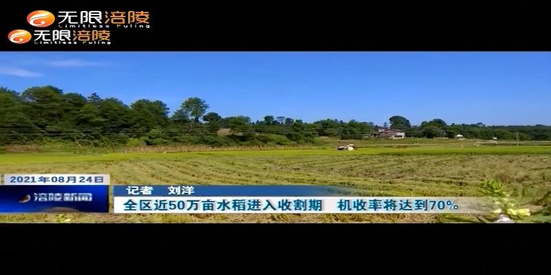 全区近50万亩水稻进入收割期   机收率将达到70%