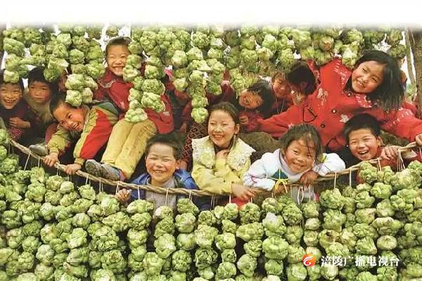 【晒文化 晒风景】区县故事荟|两江福地 神奇涪陵