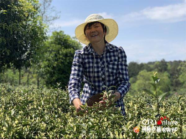 【壮丽70年•奋斗新时代】重庆涪陵蔺市镇的乡村振兴小妙招——品牌为王